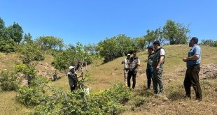 Bingöl'de aşılama çalışması yapıldı