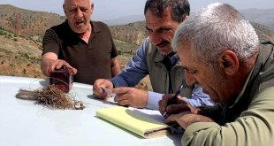 Elazığ'da 600 kınalı keklik doğaya bırakıldı