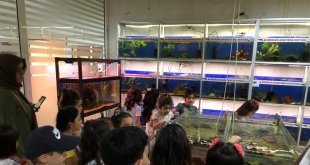 Öğrenciler balık müzesini gezdi