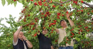Devlet desteği ile hayalini kurduğu meyve bahçesine kavuştu