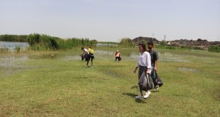 Akademisyen ve öğrenciler Ağrı Dağı Milli Parkı'nda temizlik yaptı