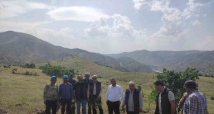 Palu'daki bademler yöre halkına gelir kapısı olacak