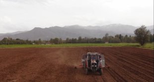 Muş'ta ilk defa silajlık soya ekimi yapıldı