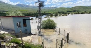 Karasu Nehri taştı, ekili tarlalar sular altında kaldı