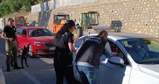 Tunceli'de polis ekipleri uyuşturucuyla mücadele kapsamında denetim yaptı