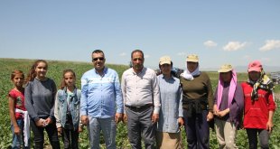 Kaymakam Bayram, tarlada çalışan çiftçilerle bayramlaştı