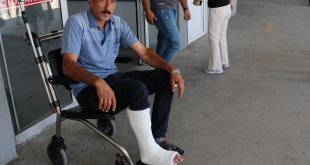 Erzurum, Ağrı ve Ardahan'da "acemi kasaplar" hastanelik oldu