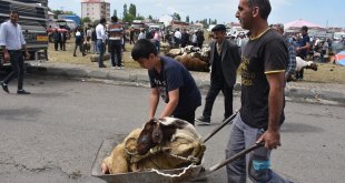 Doğu Anadolu'daki hayvan pazarlarında arife yoğunluğu yaşanıyor