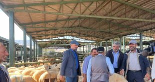 Malatya'da vatandaşlar kurbanlık almak için Arefe Günü'nü bekliyor