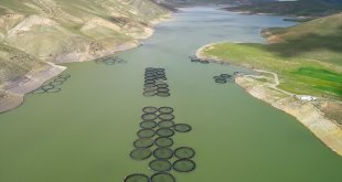 İlkbahar yağışları Van'daki barajlara çare olmadı