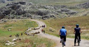 44. Uluslararası Kemaliye Kültür ve Doğa Sporları Şenliği 23 Haziran'da başlıyor