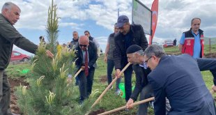 Şehidin hatırasına bin ağaç