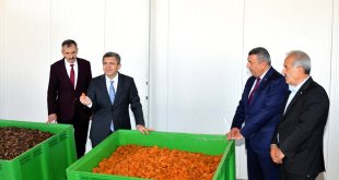 Malatya kayısısında 2023 yılı tahmini rekoltesi 77 bin 170 ton olarak açıklandı