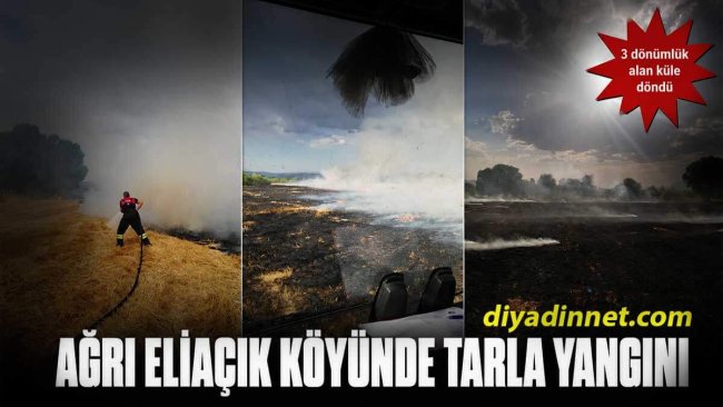 Ağrı Eliaçık Köyünde Tarla Yangını: 3 Dönümlük Alan Küle Döndü