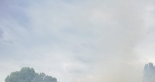 Ağrı'da tarla yangını