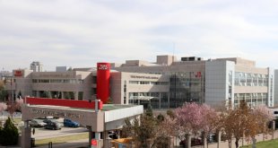 Erzurum 6 ayda 151 marka çıkardı