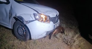 Kars'ta otomobil koyun sürüsüne çarptı, çoban ağır yaralandı