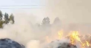 Yüksekova'da çıkan yangında 20 bin bağ ot kül oldu