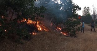 Bingöl'de çıkan orman yangını söndürüldü