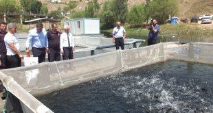 AK Parti Elazığ Milletvekili Nazırlı Keban'da balık üretim tesislerinde inceleme yaptı