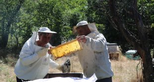Turistik ilçedeki çiftlikte üretime gönüllü katılıp masrafsız tatil yapıyorlar