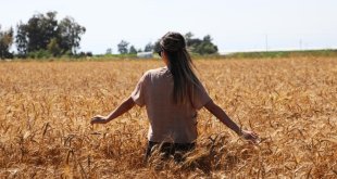 Doğu'da en yüksek sıcaklık yine Kemaliye'de ölçüldü