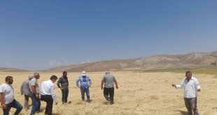 Dolu yağışı tarım arazilerine zarar verdi