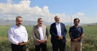 Başkan Orhan; "Şimdi hasat zamanı"