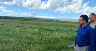 AK Parti Kars Milletvekili Çalkın'dan aşırı yağış ve dolu açıklaması