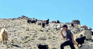 Yaylada çobanlık yapan ve LGS'de Türkiye ikincisi olan Muhammet'in kazandığı lise belli oldu