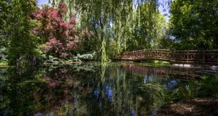 Atatürk Üniversitesinin botanik bahçesi sezonda yaklaşık 15 bin ziyaretçi ağırlıyor