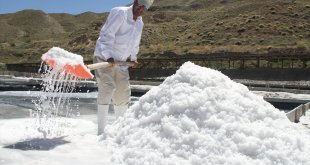 Kemah tuzu üreticileri bunaltıcı sıcaklarda mesai yapıyor