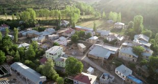 Van'da kaybolan 15 büyükbaş hayvanı arama çalışmaları sürüyor