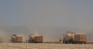 Vali Gündüzöz: "Türkiye'den sonra Avrupa'yı besleyen Muş Ovası'nı göreceğiz"