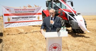 Muş Ovası'nda hububat hasadı başladı