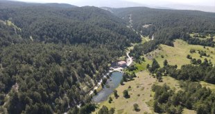 Erzincan'da sıcaktan bunalanlar Dumanlı Tabiat Parkı'nda serinliyor