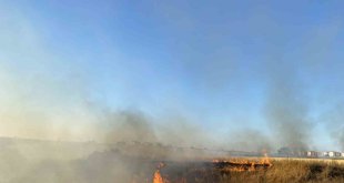 Malatya'da anız yakılması yasaklandı