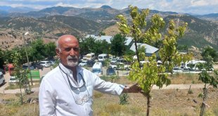 Vatandaşların ziyaret ettiği Düzgün Baba'ya bin 500 ağaç diktirdi