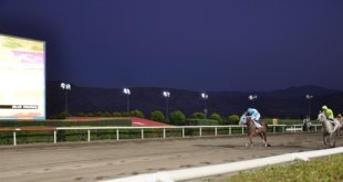 Elazığ Valilik Koşusu'nu Sararhan kazandı