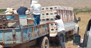 Malatya'da depremzede üreticilere 1305 arılı kovan dağıtıldı