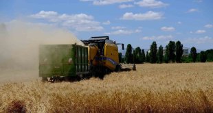 "Tarladan Sofraya Tarım Lisesi" projesi meyvelerini vermeye başladı