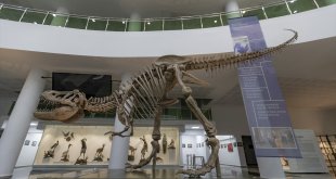 Erzurum'da kurulan Biyoçeşitlilik Bilim Müzesi'nde milyonlarca yıllık fosiller sergilenecek