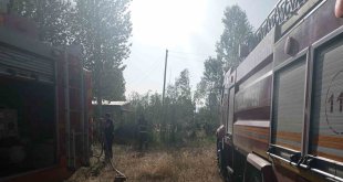 Edremit'te samanlık yangını