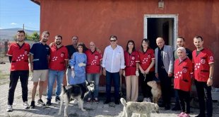 Ardahan'da gönüllü veterinerler sahipsiz hayvanları aşılama çalışmasına katıldı