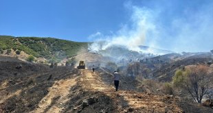 Bingöl'de çıkan orman yangını kontrol altına alındı
