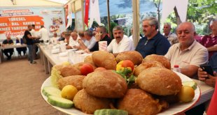 Geleneksel Zengibar Karakucak Güreş ve Kültür Festivali sürüyor