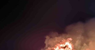 Ağrı'da bir tarla küle döndü