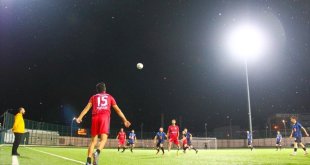 Ardahan'da "mayıs sinekleri"nin günlerdir devam eden "ölüm uçuşu" sona erdi