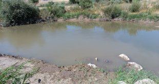 Ağrı'da serinlemek için nehre giren çocuk boğuldu