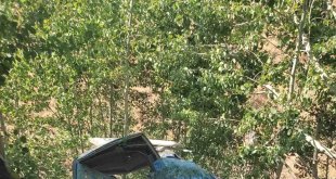 Bingöl'de hafif ticari araç şarampole yuvarlandı: 2 yaralı